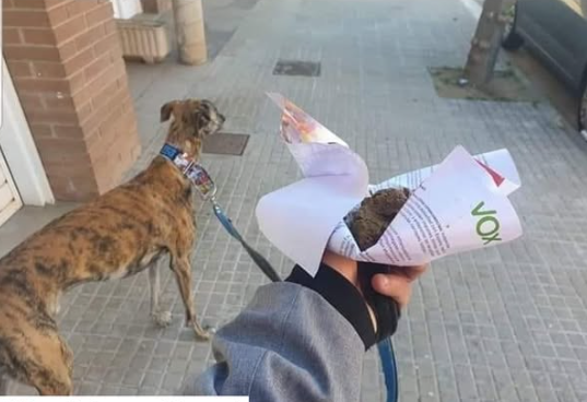 Cuca Macarra 🇪🇸 tweet media