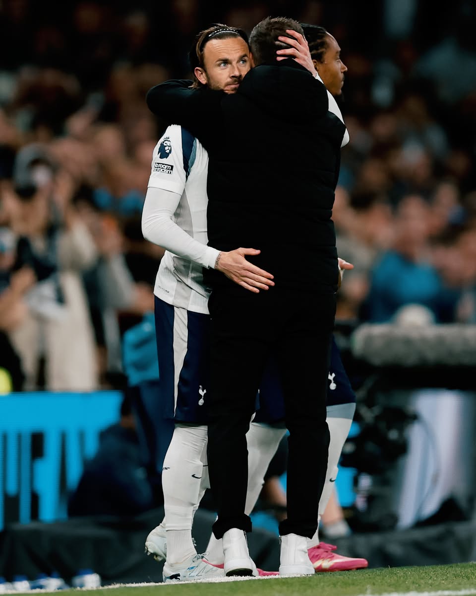 Tottenham Hotspur tweet media