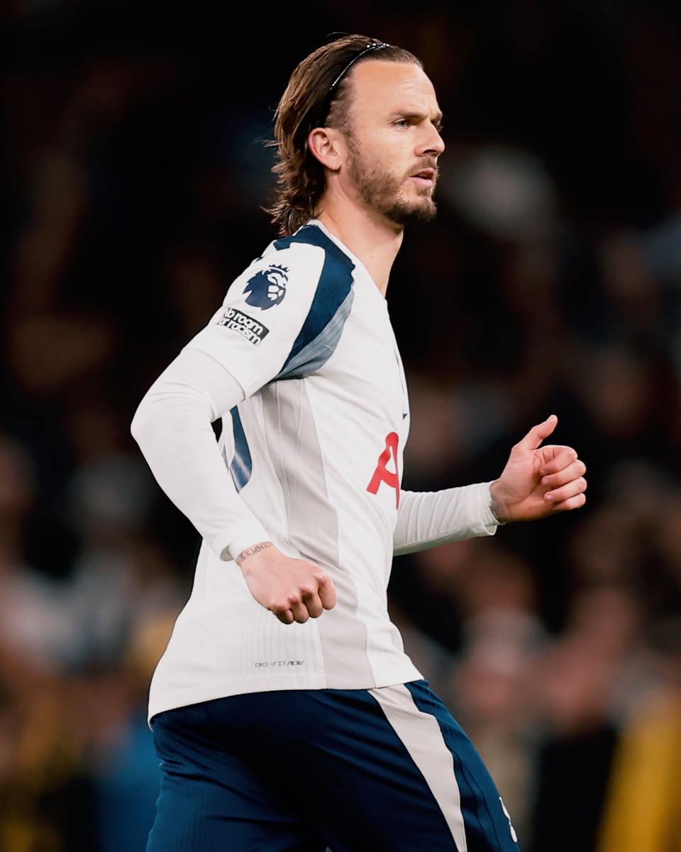 Tottenham Hotspur tweet media