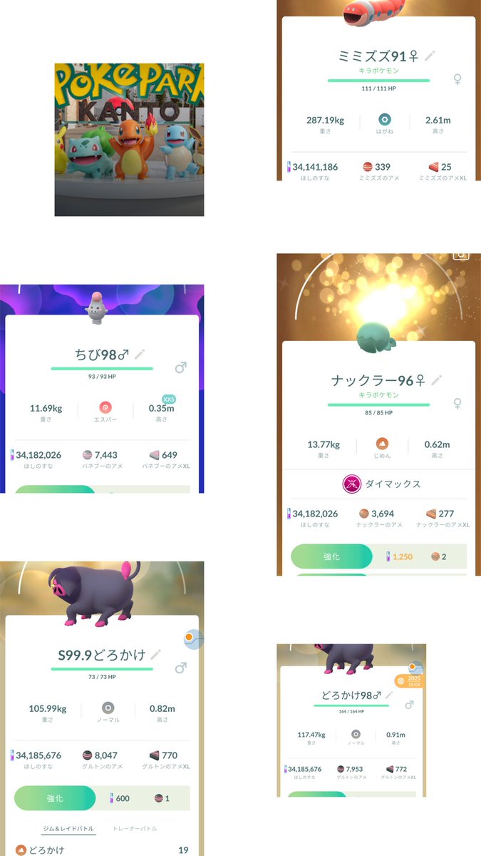 ANH10WポケGO愛知 tweet media