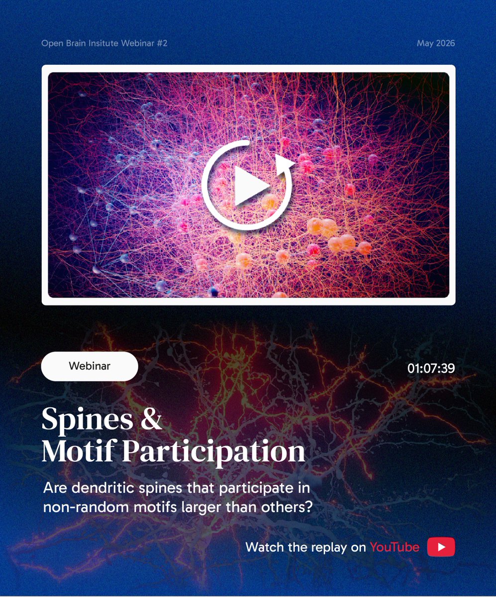 OpenBrainInst's tweet photo. What can Microns EM data reveal about spines, neural motifs, and brain connectivity?

In our latest webinar, Michael Reimann demonstrated how the OBI Virtual Lab helps process complex EM data to extract valuable insights on spines and neural circuit organization.
 
#VirtualLabs https://t.co/RR8ua7F25v