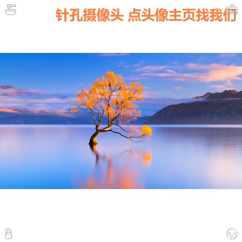 Jennifer Hahn tweet media