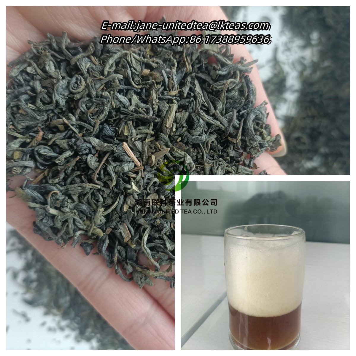 JaneSwift2023's tweet photo. It has been widely accepted in China that tea is a good drink for preserving one's health. A cup of high-quality 41022 green tea will help you.
#tea #greentea #ChunMee #africa #teaexporter #thé #théataya #thévert #teagarden https://t.co/l4qiz7woLx