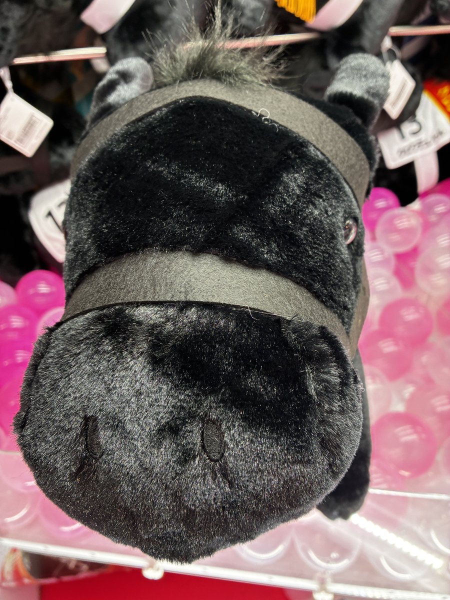 新景品🏇】 #サラブレッドコレクション より、#クロワデュノール の