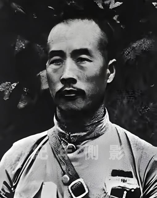 zhang haitao tweet media