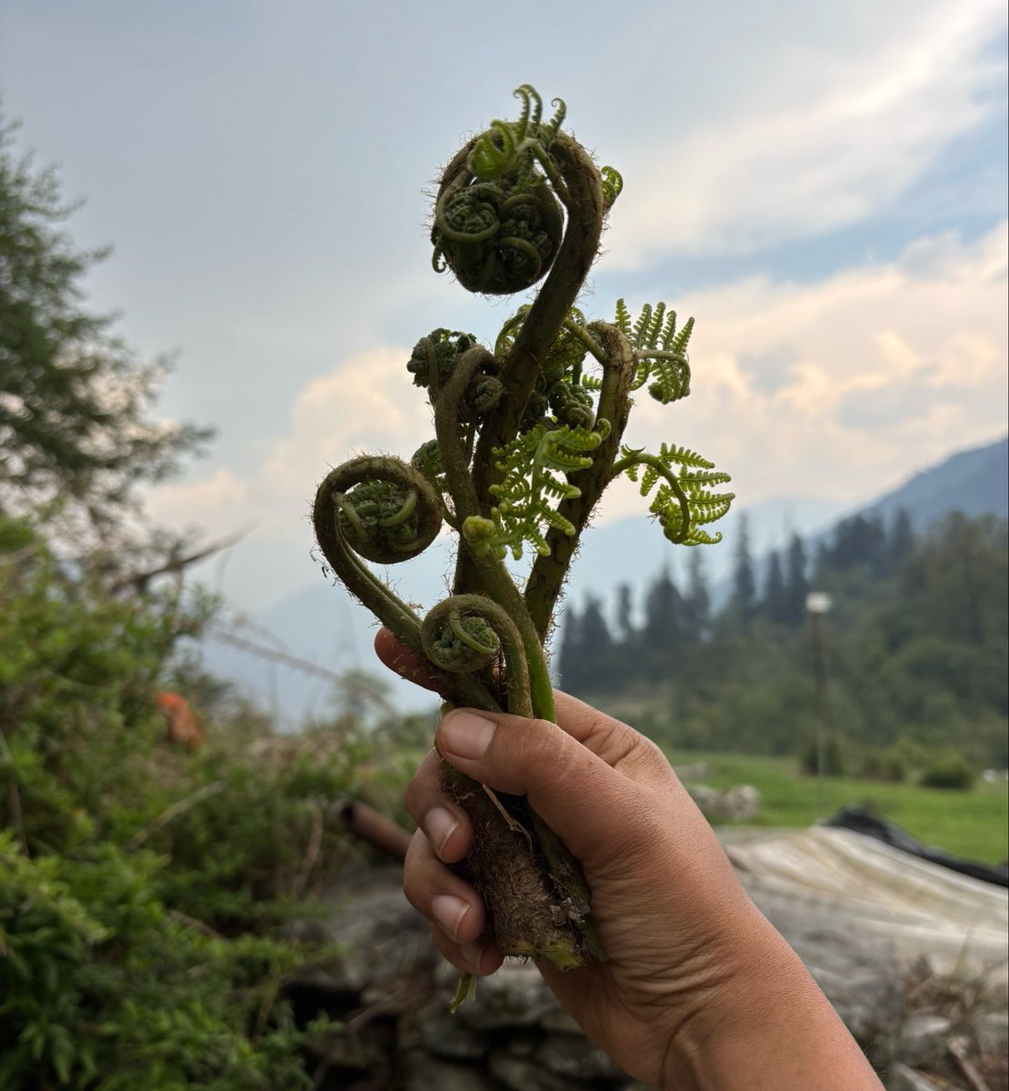 Sanskriti Bist tweet media