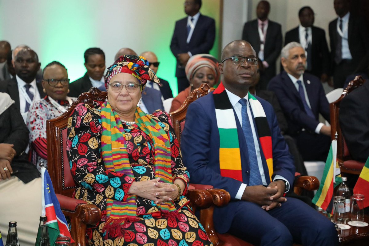 Vice President of Namibia tweet media