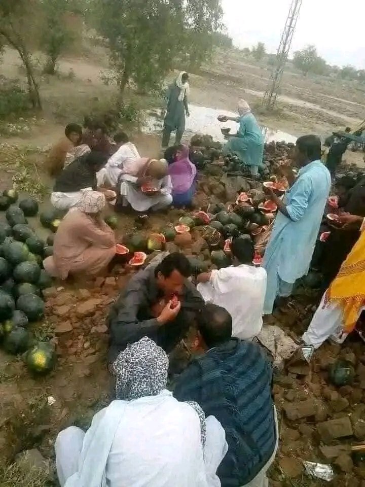 oye__Azhan's tweet photo. ضلع بھکر۔ میں  تربوز سے بھرا ٹرک الٹ گیا
پاکستانی عوام نمک لگاکر امدادی کارروائی میں مصروف عمل 😂😂 https://t.co/TrO5UoJ8vu