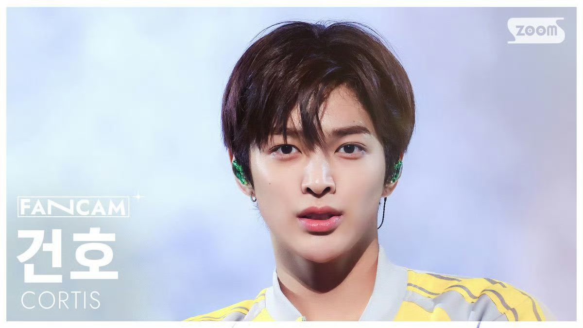디.. tweet media