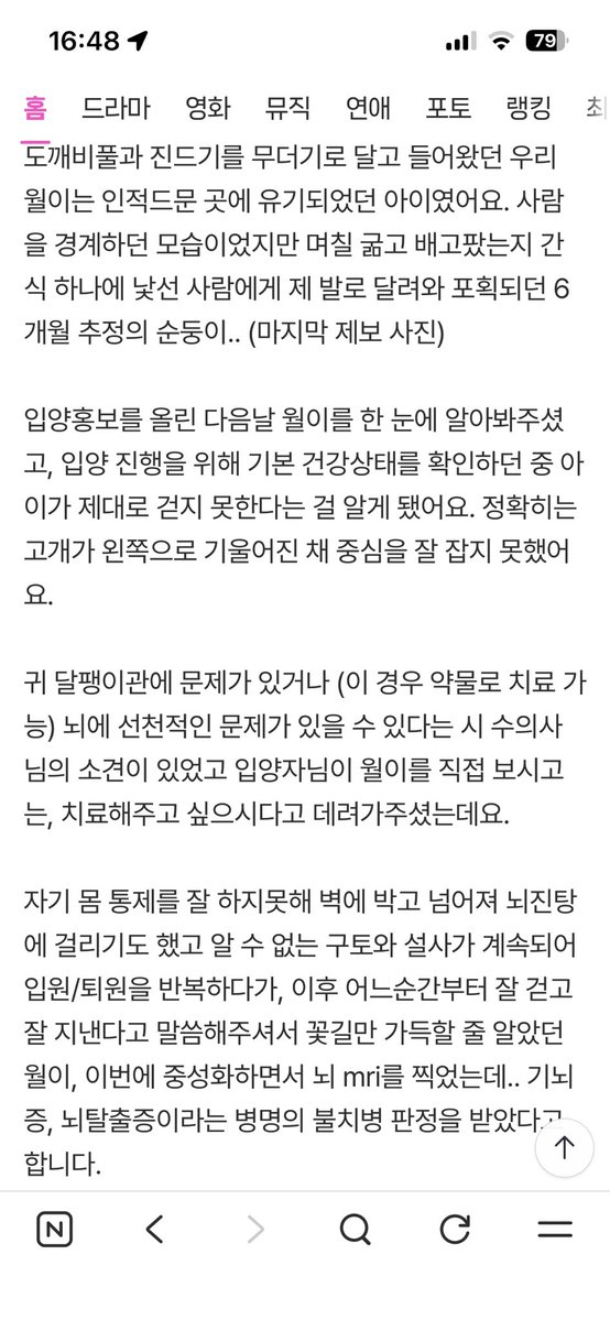 코난 tweet media