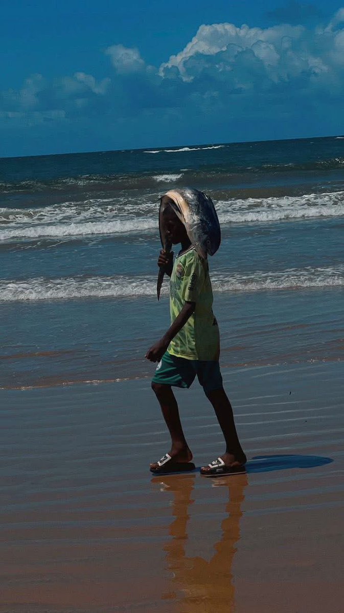 MaalinIrab's tweet photo. young boy, aware of the value of life, returned from the sea with fish to help feed his family. His courage against the waves reflects the reality of many Somali children who learn responsibility at an early age.
#Baraawe, Lower Shabelle region of Somalia πΈπ΄ https://t.co/zytrPNgAcU