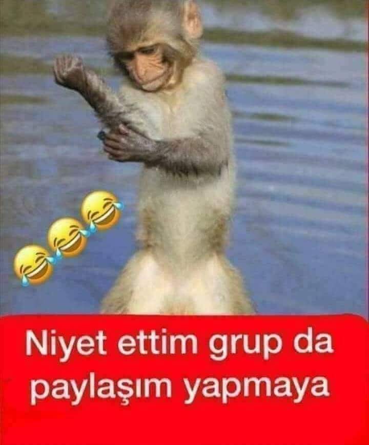 ayten_ateş tweet media