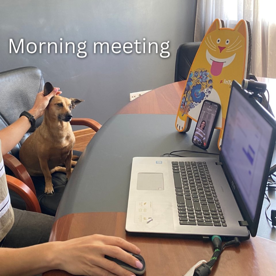 intext_com's tweet photo. Today our PM Mini Assistant Hera took over InText’s social media in exchange for extra treats 😁

What do you think – has she nailed the new role? https://t.co/UNKkkQfKsJ