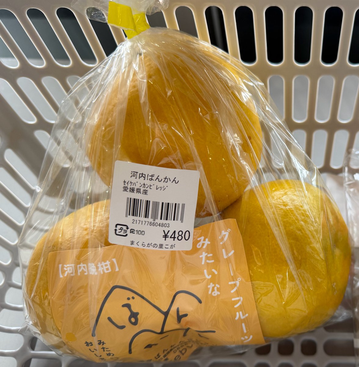 まゆ tweet media