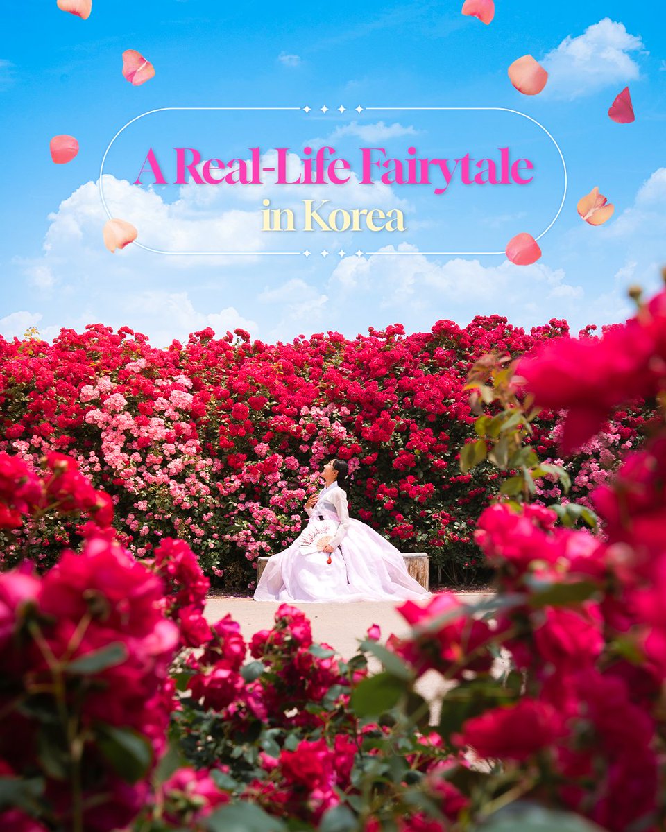 VisitKorea tweet media