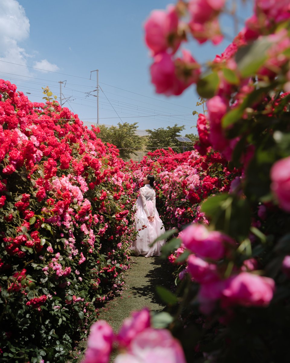 VisitKorea tweet media