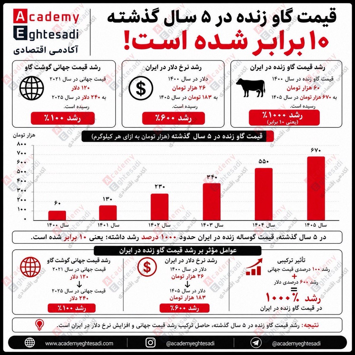 پیام الیاس کردی | Payam Elyas kordi tweet media