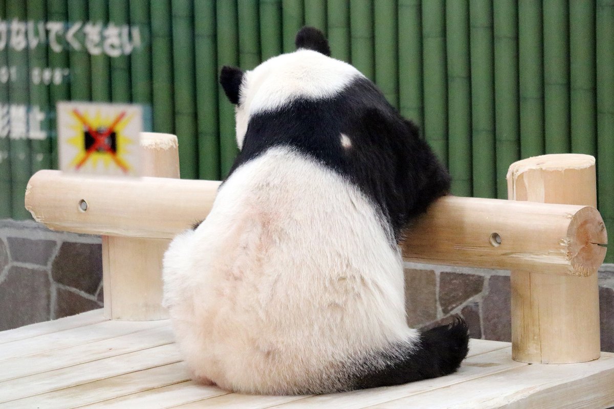 タンタン