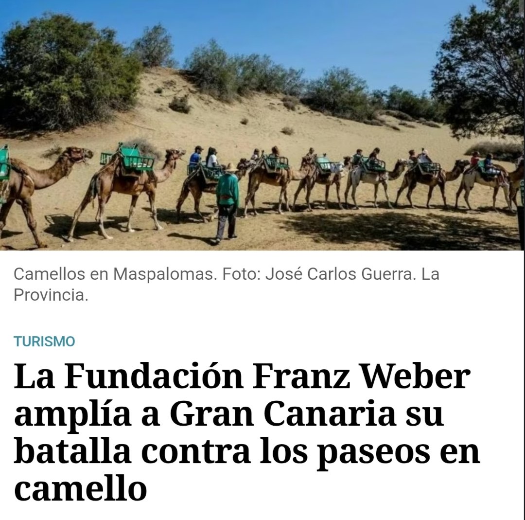 Rubén Pérez tweet media