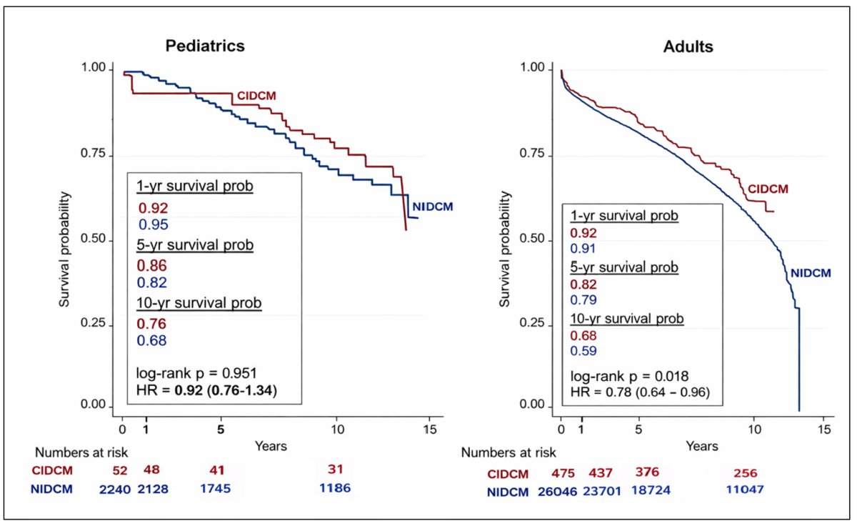 Twinkle_IMR's tweet photo. #HeartTransplant outcomes in chemotherapy-induced vs non-ischemic DCM show comparable or improved survival in CIDCM, with similar cancer risk and lower rejection in adults.  

👉Full study: https://t.co/J0aQluFqyD 

#CardioOncology #HeartFailure https://t.co/P8osLjTFiZ