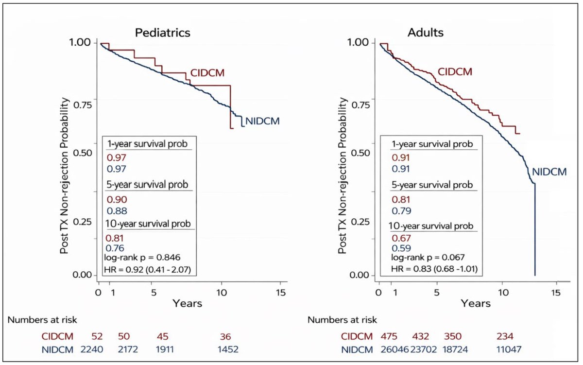 Twinkle_IMR's tweet photo. #HeartTransplant outcomes in chemotherapy-induced vs non-ischemic DCM show comparable or improved survival in CIDCM, with similar cancer risk and lower rejection in adults.  

👉Full study: https://t.co/J0aQluFqyD 

#CardioOncology #HeartFailure https://t.co/P8osLjTFiZ