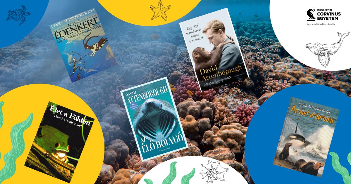 corvinlib's tweet photo. 100 év, egyetlen élet – és egy egész bolygó története. 🌏

David Attenborough életműve nemcsak filmekben, hanem könyvekben is lenyűgöző.  A híres természettudós nemrég töltötte be a 100. évét, ezért 5 emlékezetes könyvet ajánlunk az életművéből.

#corvinlib #DavidAttenborough https://t.co/MDC7CSZqmJ