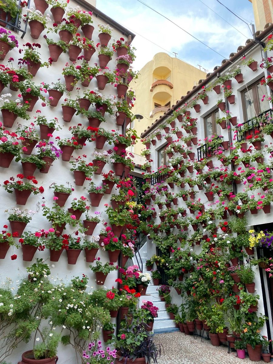 Magical Spain tweet media