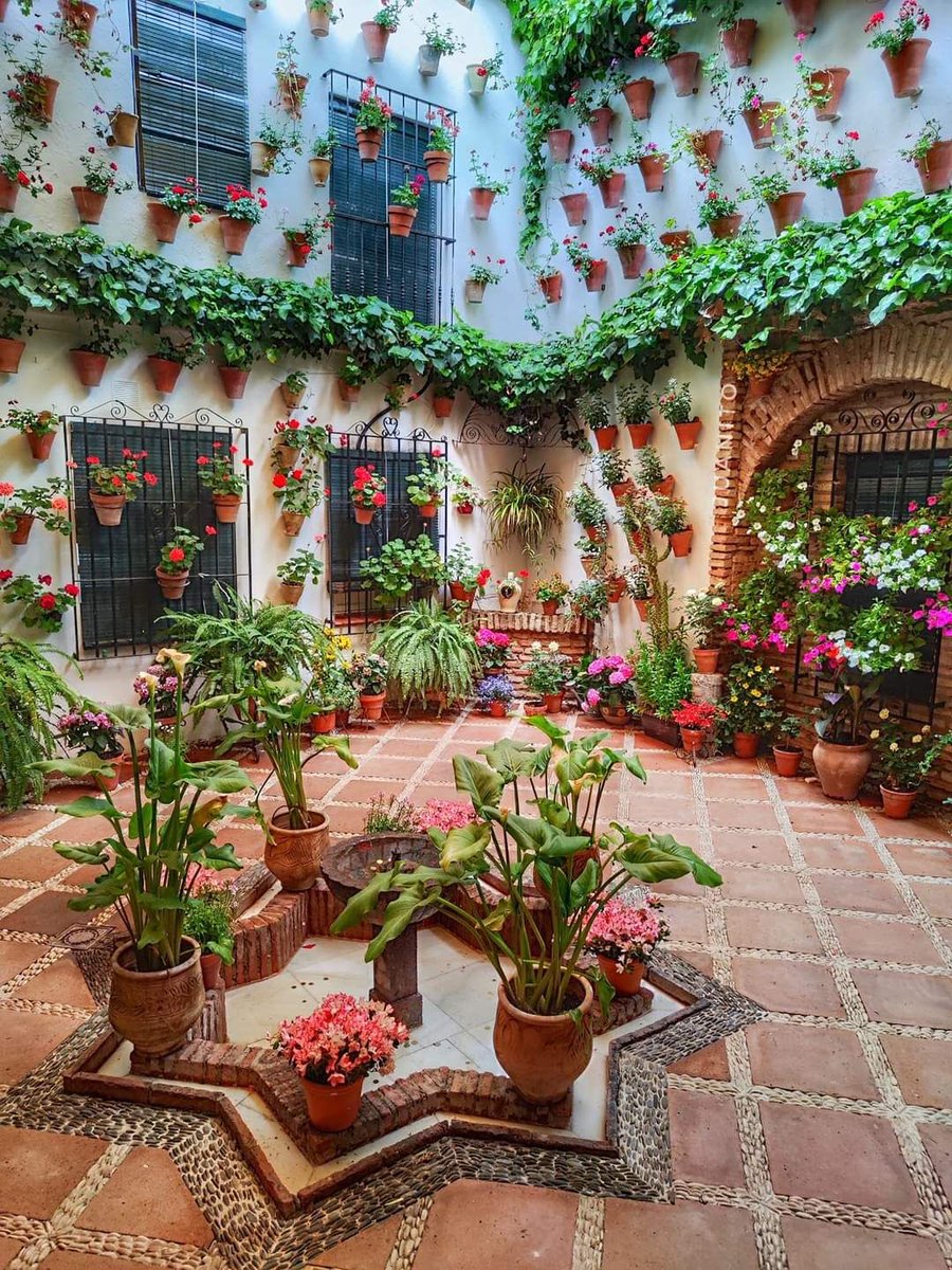 Magical Spain tweet media