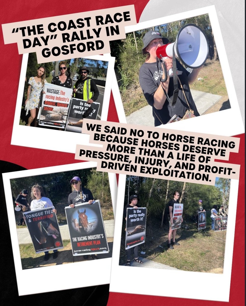 animaljusticeAU's tweet photo. Join our movement: https://t.co/JCwWgjCTPa
#NSW #NSWPol #AusPol #Animals #AnimalRights #AusPol2027 #AusPol2026 #Horses #Dolphins #NSWVotes #NSWElection https://t.co/1MPo2IdH7b