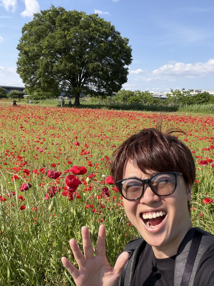 マスオページ MasuoTV（マスオ） (@masuotv) / Posts / X