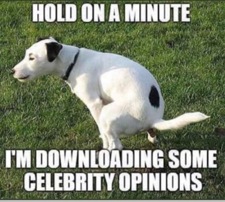 Coolerking tweet media