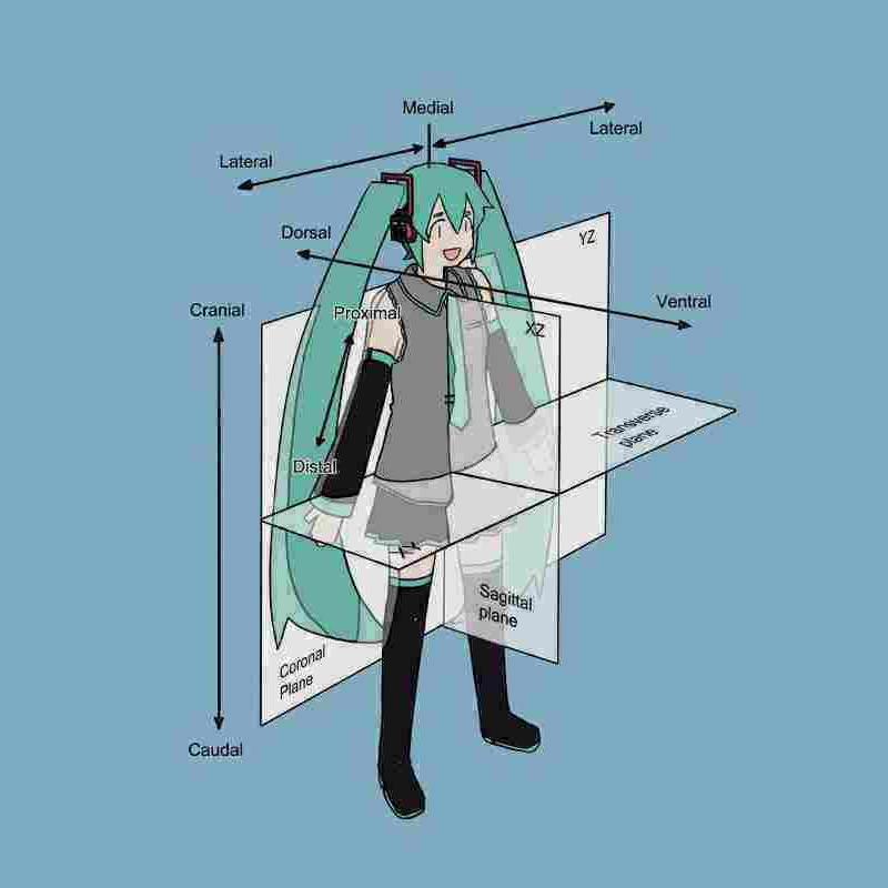 eletenshi² tweet media