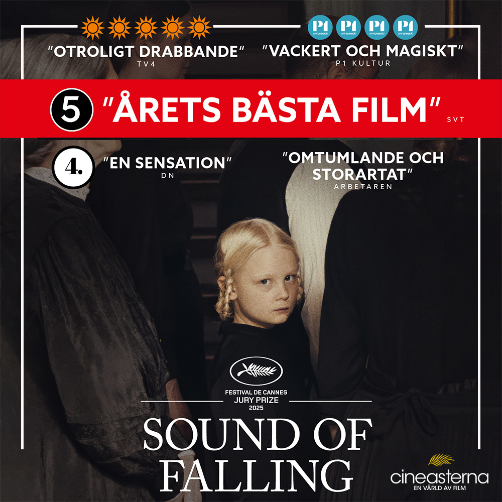 Cineasterna tweet media