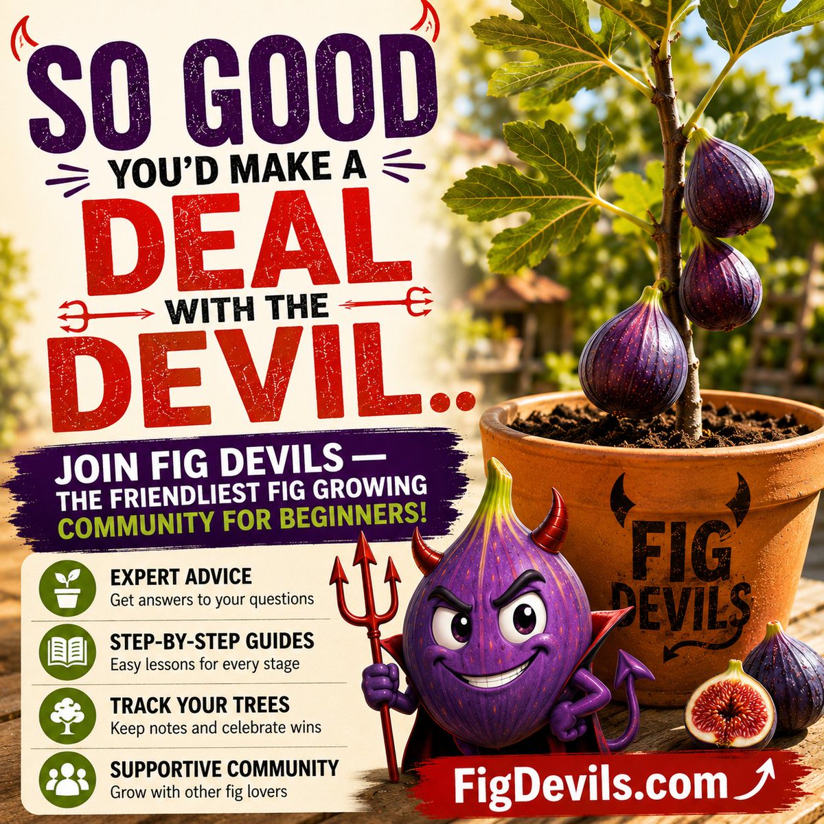 Fig Skool tweet media