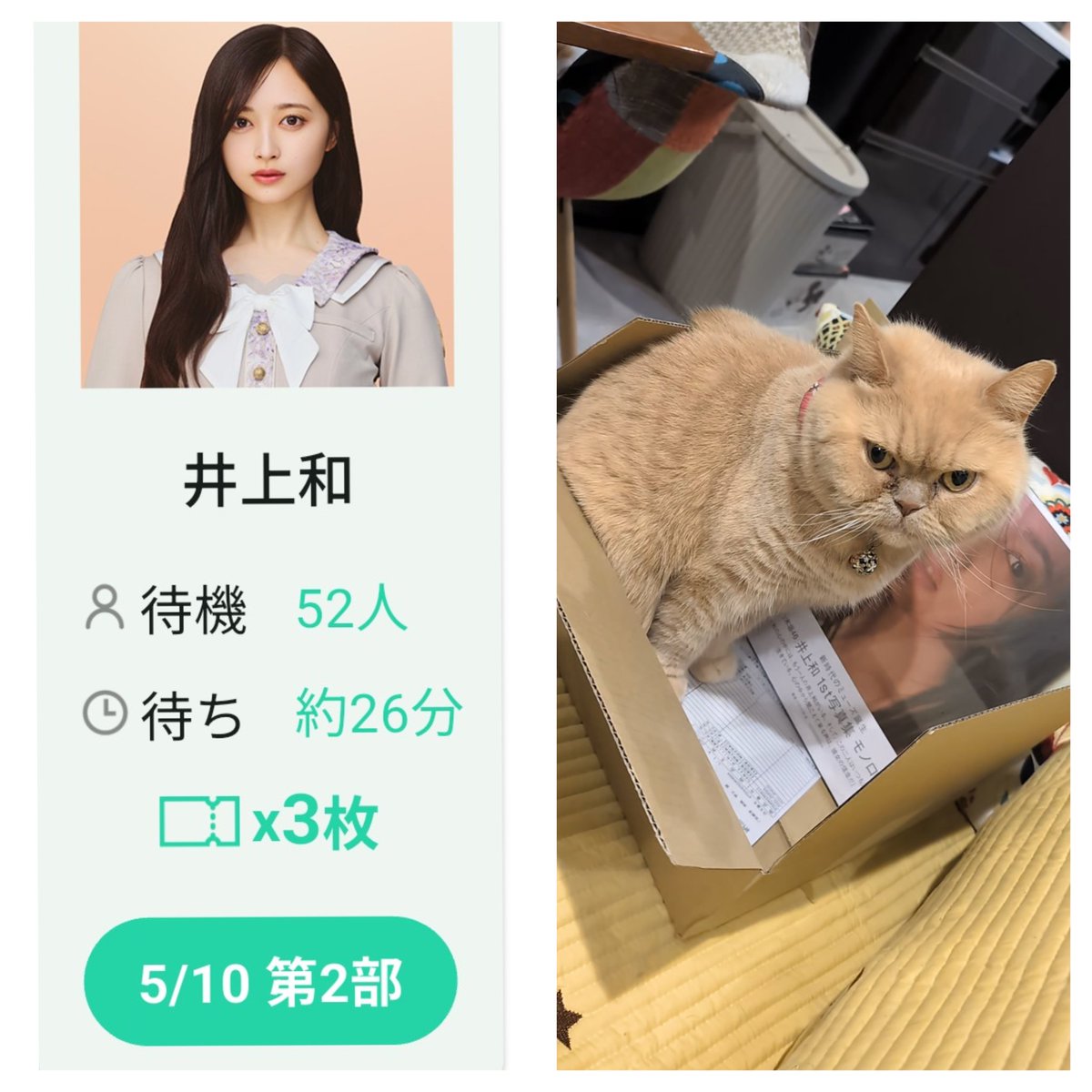 九狼🐺(黒マスク海賊団) tweet media