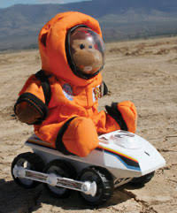 TIMMY THE MONKEY tweet media