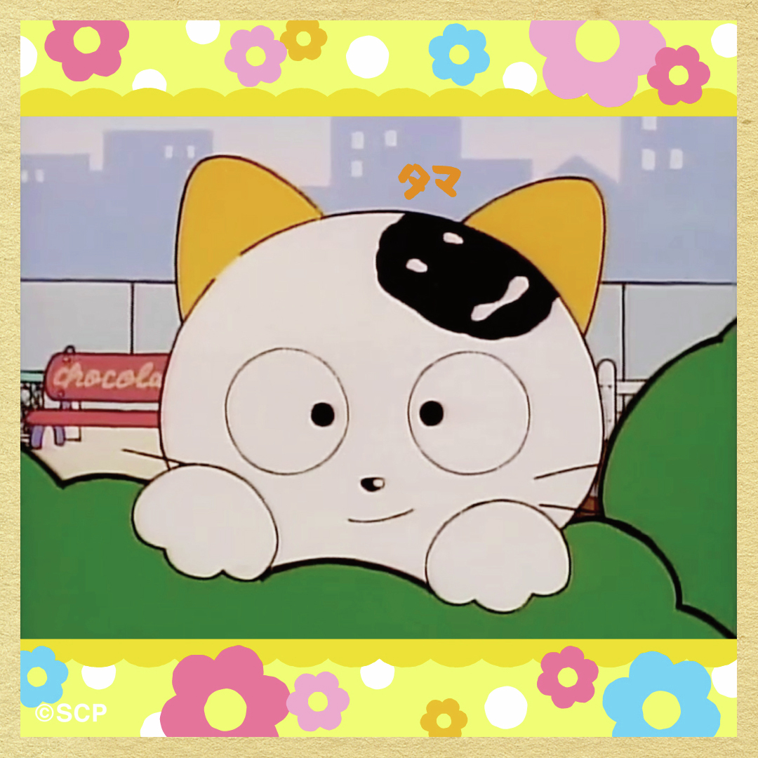たまみん☆ さま専用ページ やっほー‼️ みんな今日は何してるの？