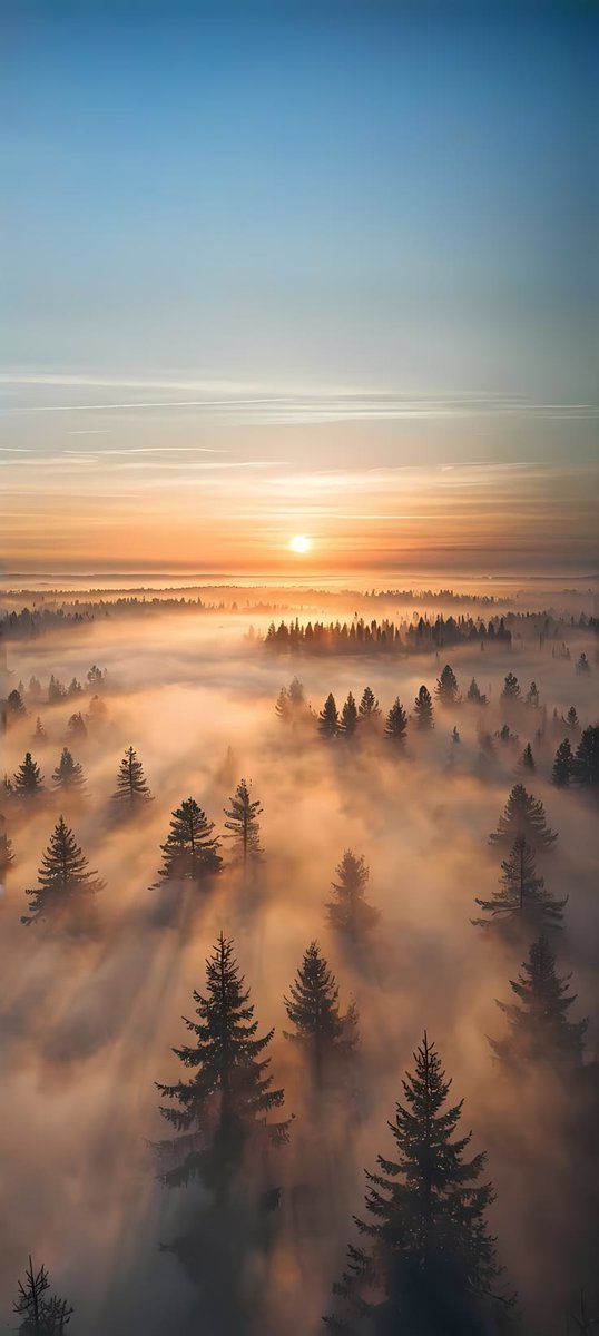 Nature🍃 tweet media