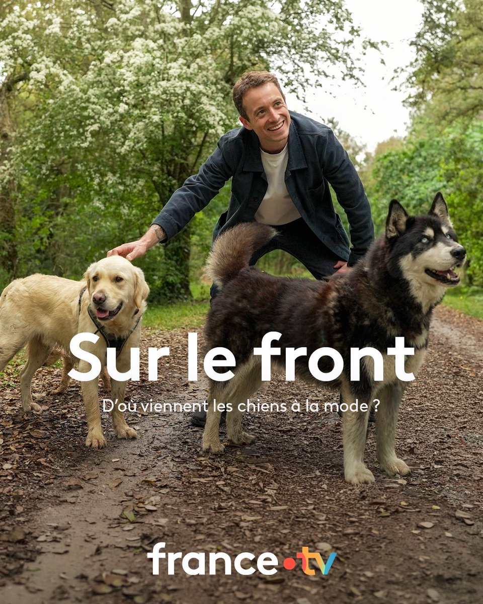 France TV Pro tweet media
