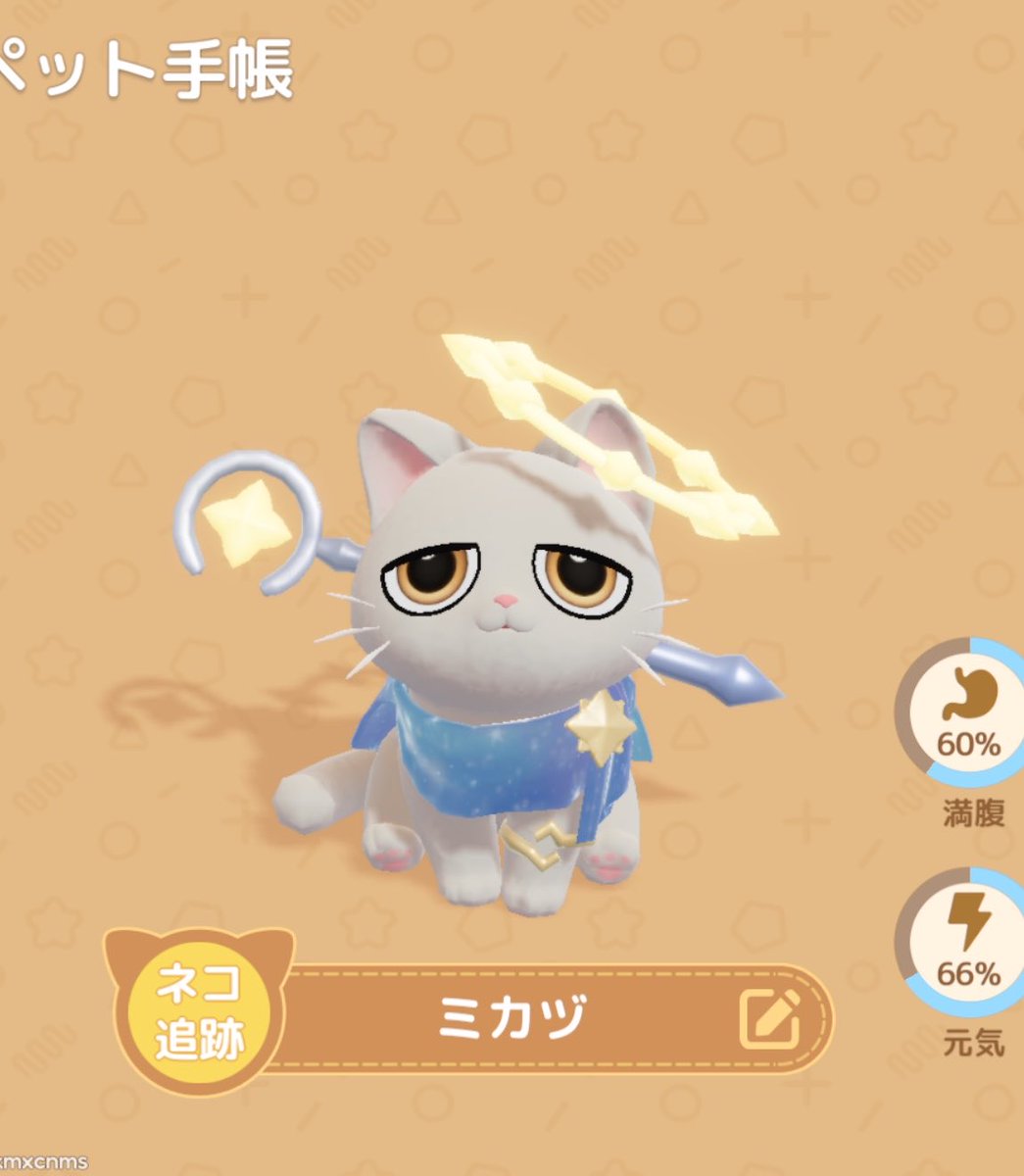 177cat's tweet photo. 新しく白猫のミカヅくんお迎えしました👏
ミズチと並べるととてもかわよい

今だにミズチの好物もわからないので助けてください………………

#ハートピア https://t.co/EUzS9FehA5