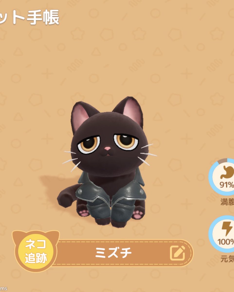 177cat's tweet photo. 新しく白猫のミカヅくんお迎えしました👏
ミズチと並べるととてもかわよい

今だにミズチの好物もわからないので助けてください………………

#ハートピア https://t.co/EUzS9FehA5