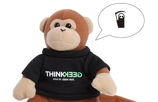 TIMMY THE MONKEY tweet media