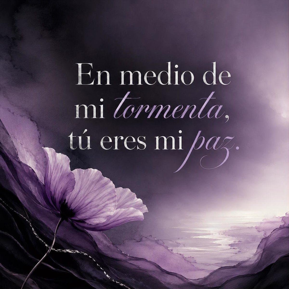El Camino del Profe tweet media