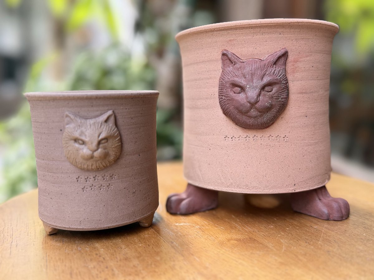 唐津赤水窯•#熊本象 さんの猫面植木鉢🪴が入荷しました。小さな方は