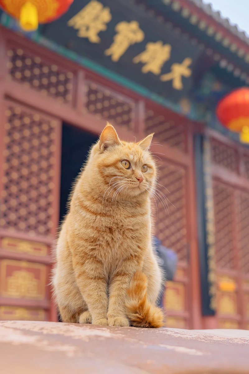 人民中国雑誌社 tweet media