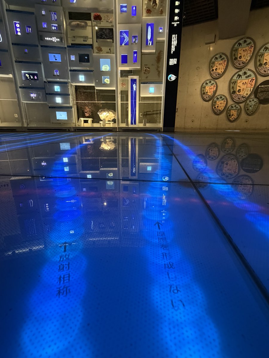 かはく【国立科学博物館公式】 tweet media