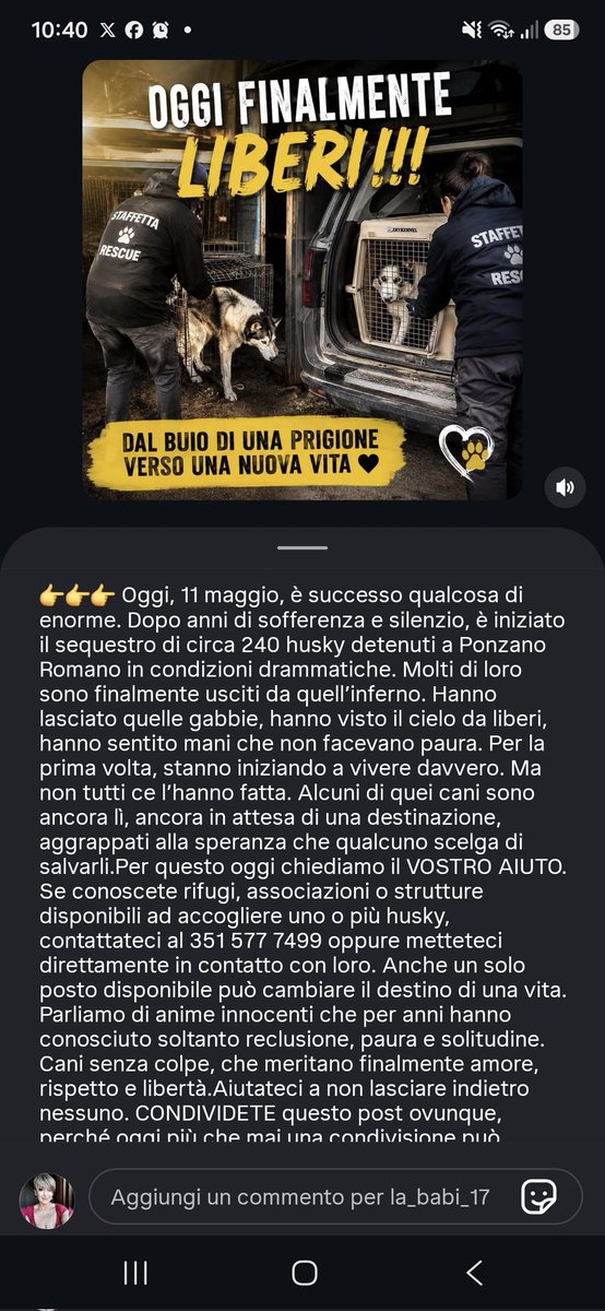 Patrizia💙 tweet media