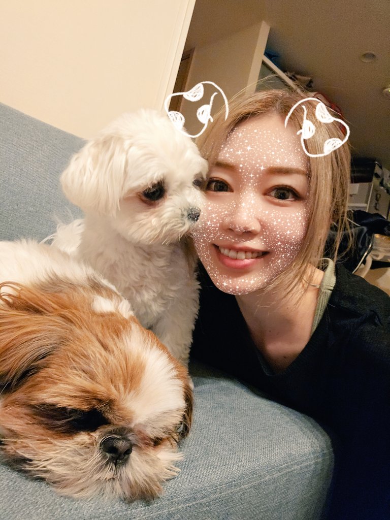 pokopen_neet's tweet photo. 犬ペロの瞬��😋かぁいい🫶 https://t.co/1pMeX4j5xo