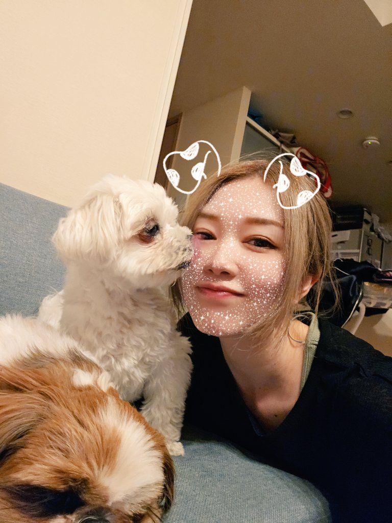 pokopen_neet's tweet photo. 犬ペロの瞬��😋かぁいい🫶 https://t.co/1pMeX4j5xo