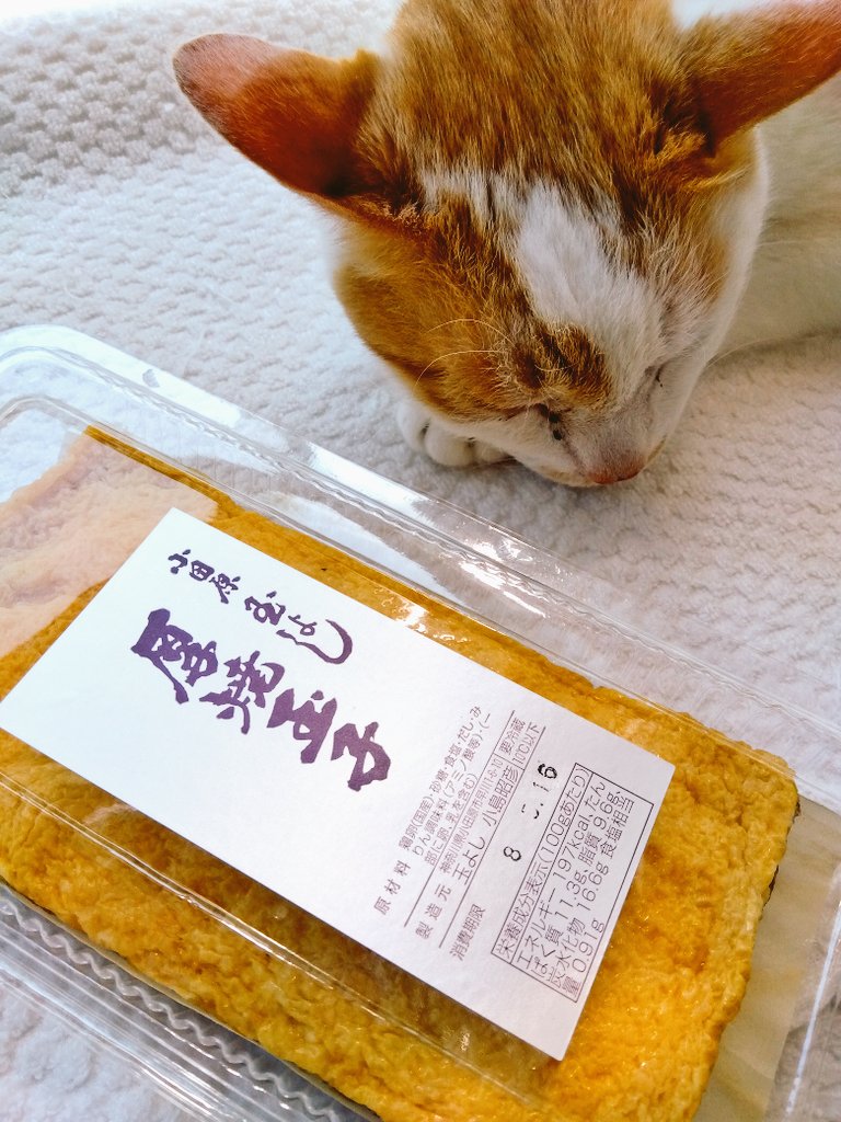 neko*m*k* tweet media